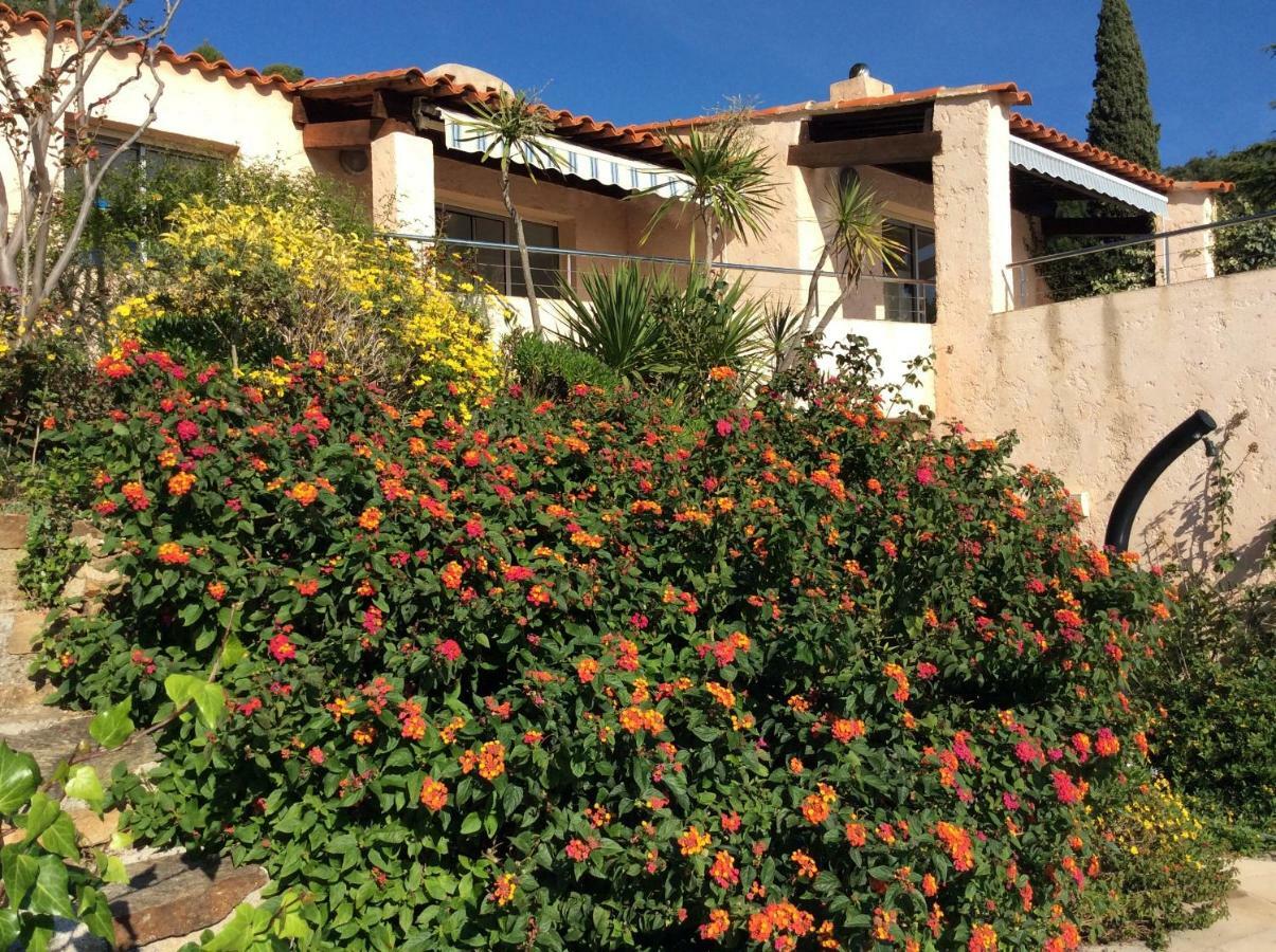 Villa Du Bau Rouge Carqueiranne Bagian luar foto