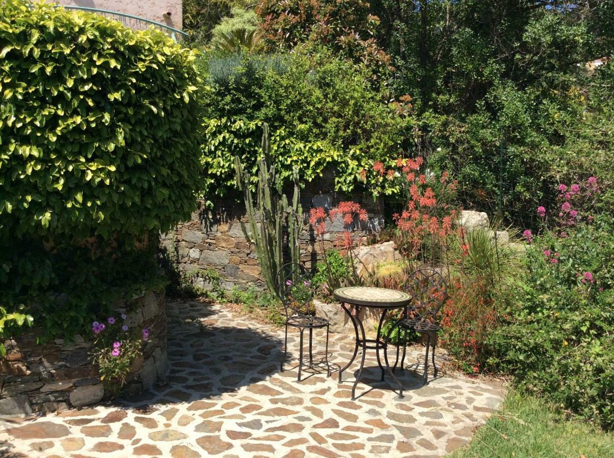 Villa Du Bau Rouge Carqueiranne Bagian luar foto